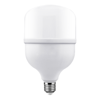 Classic Series LED T Bulb